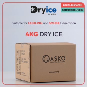 4kg dry ice courier box