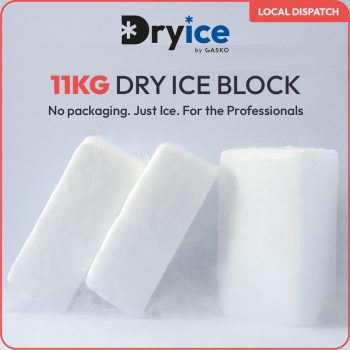 dry ice block