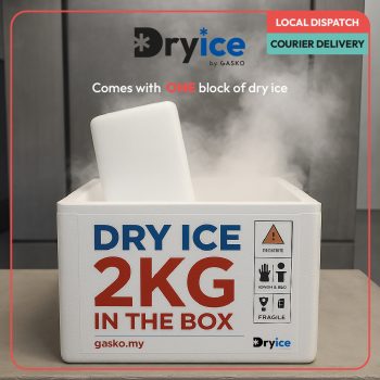 dry ice courier box 2kg