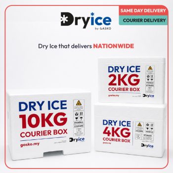 dry ice delivery box